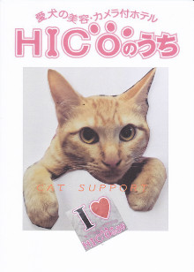 HICOのうち キャットサポート設立