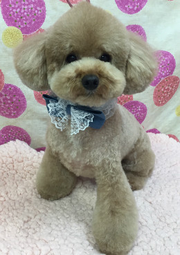 年間会員様ご登録で毎回300円OFF!さらにエステ無料!