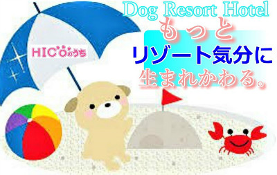 もっと楽しく!もっとリゾート気分に!生まれかわります♪