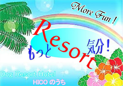 ママたちだけリゾートだなんてズるいっ!なぁんてね♪僕たちだってHICOさん家で、リゾート気分だもん♪