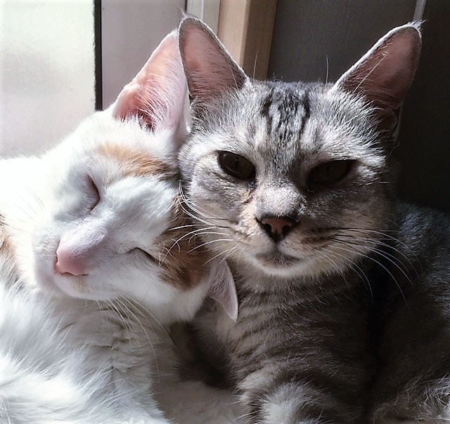 ベストなショットですな!