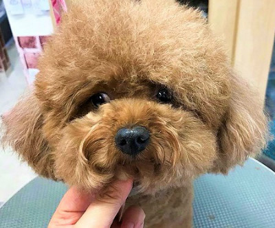 2ヶ月ぶりのご来店でも、さすがに すっきりとはいきませんが、目元にもしっかり形を残しています。