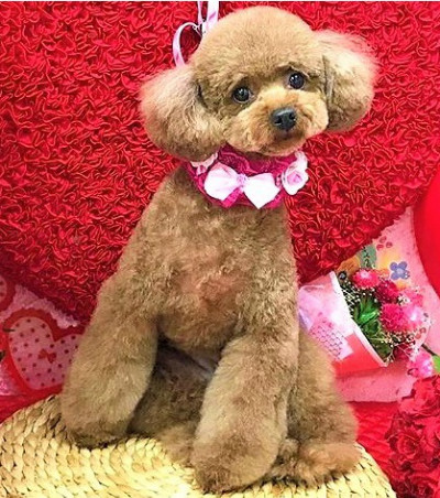 2ヶ月ぶりのご来店でも、さすがに すっきりとはいきませんが、目元にもしっかり形を残しています。