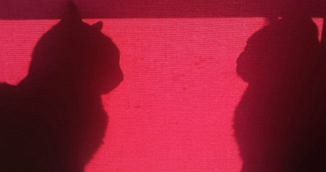 このシルエットは誰と誰?当てた方はオリジナルステッカープレゼント!