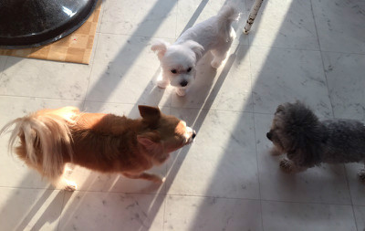 どこから来たの?今日からよろしくね♪わからないことはなんでも聞いて!