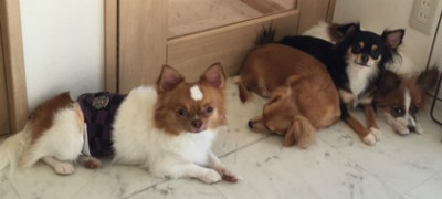 なんで笑ってんの?呼びました?