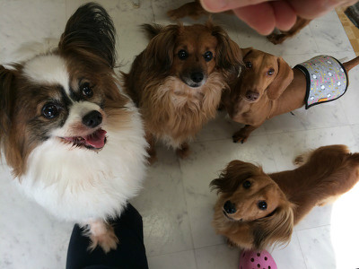 おやつの時間だぁ!僕もあたしも!