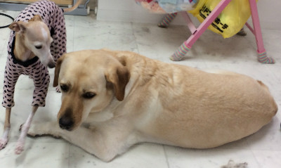 ねぇねぇねぇってば!