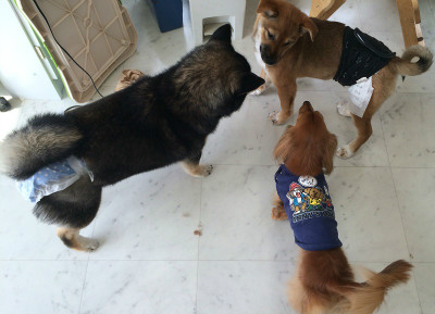 次は誰が鬼する?じゃんけんしようか!