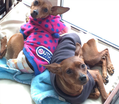 あぁいい天気だなぁ 冬でも日当たりいいなぁ♪