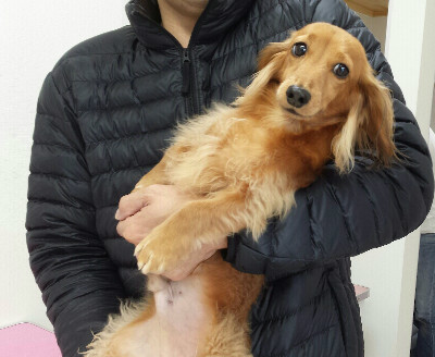 お泊りは初めてだけど、シャンプーしてもらったお姉さんだから知ってるよ!ママ安心して♪