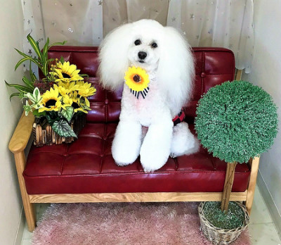 当店では、いつもの「キューティーセット」の他に「スタイリッシュセット」も数種類ご準備致しております。どうぞお気軽に「今日はこっちで!」とお伝えくださいませ!またLINEによるお写真のご送信もさせて頂いております!