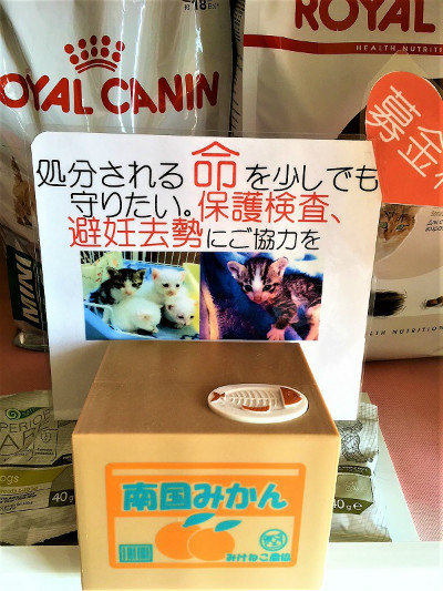 たくさんのご厚意によるご協力のおかげをもちましてこれまで、10頭もの保護猫が新しいご家族の元へ巣立っていきました。数字だけで見ますとまだまだですが、皆様のお気持ちによって救われた命たちが確かにあるということが、何よりもうれしく感激・感謝しかございません!