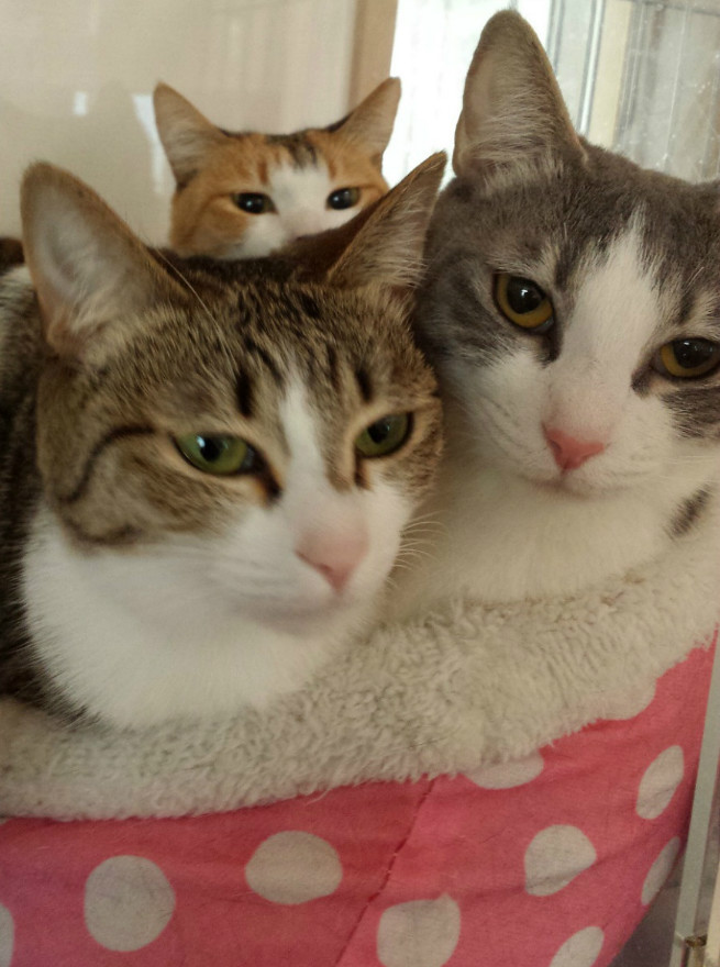 一家揃って記念写真♪おかんが見守る♡