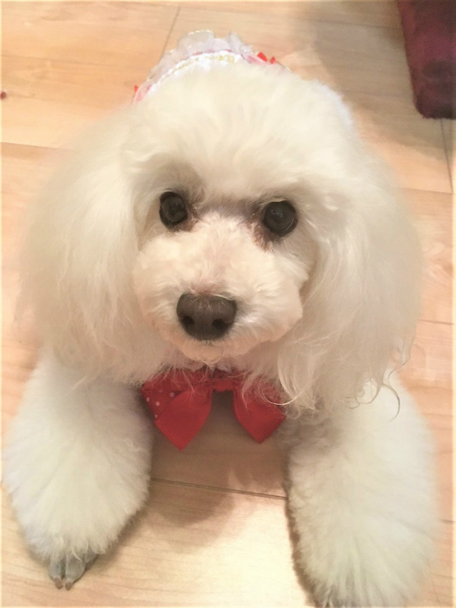 美しい男だぞーっ