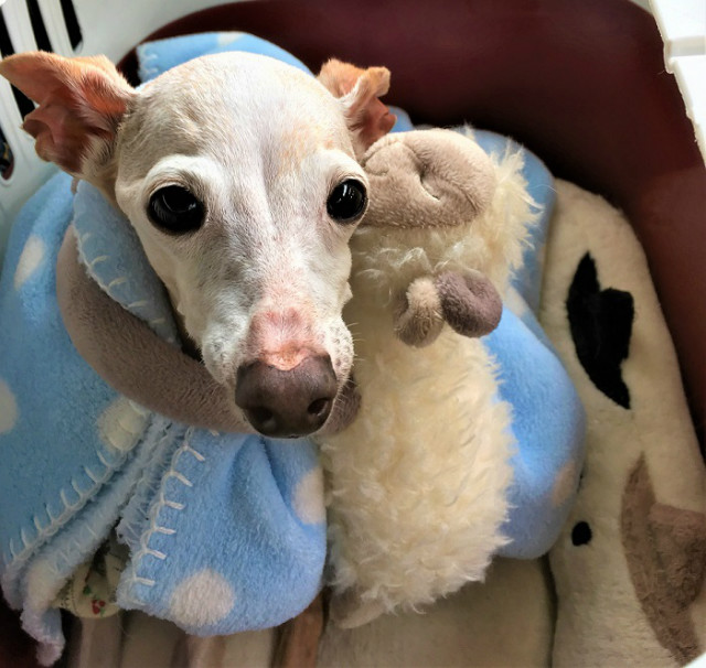 寒いから暖かくして(^_^)