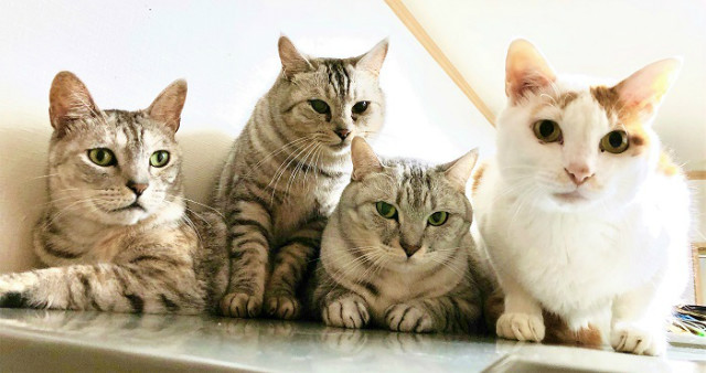 同んなじ色の。。