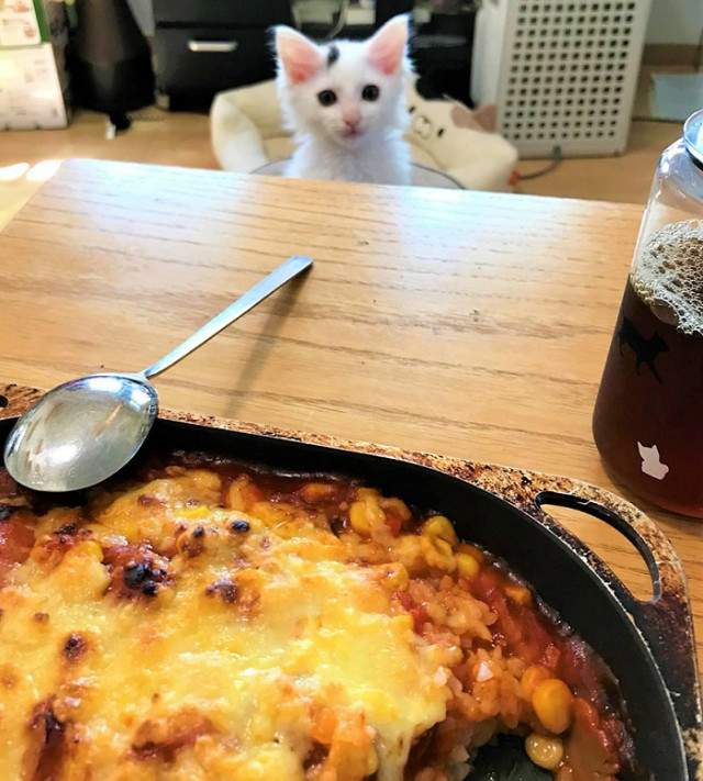 ドリアも好きだったのねぇ(^_^)