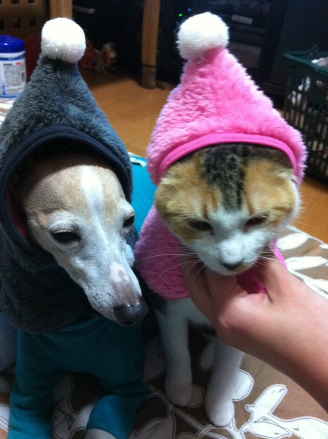 またあたしなの?かんべんしてよぉー