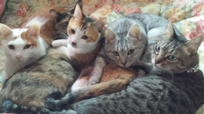 くっつき過ぎです!コロコロしなきゃ!