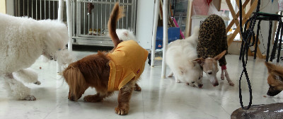 何をするにも皆でいっしょに♪もうこんな時間!